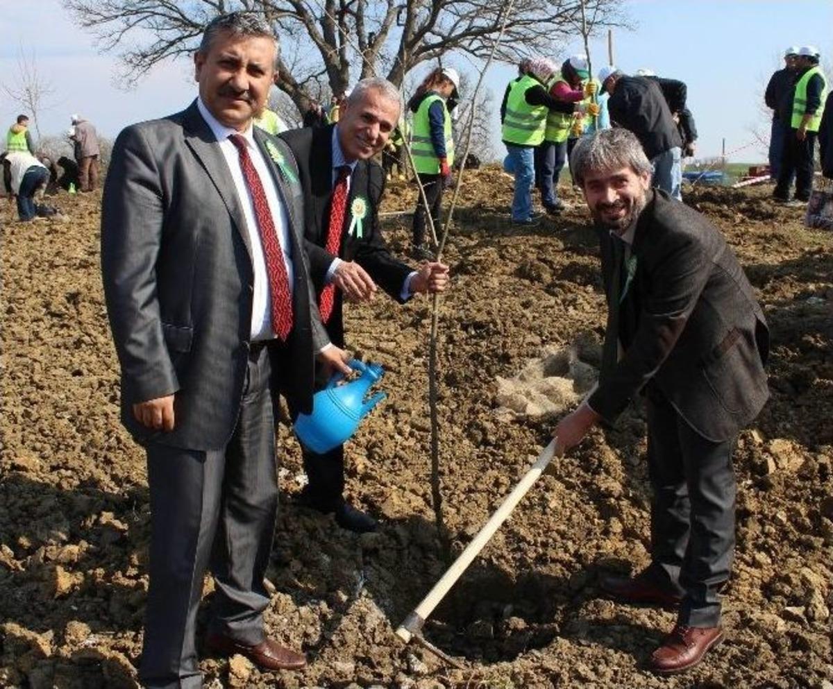 21 Mart D&uuml;nya Ormancılık G&uuml;n&uuml; Ve Ağa&ccedil; Bayramı Kutlama T&ouml;reni