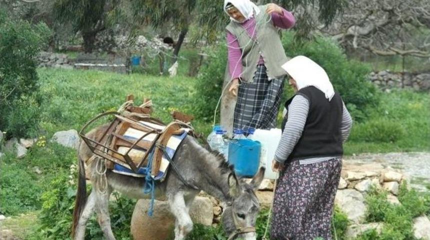 D&uuml;nya Su G&uuml;n&uuml;&rsquo;ne Susuz Girdiler