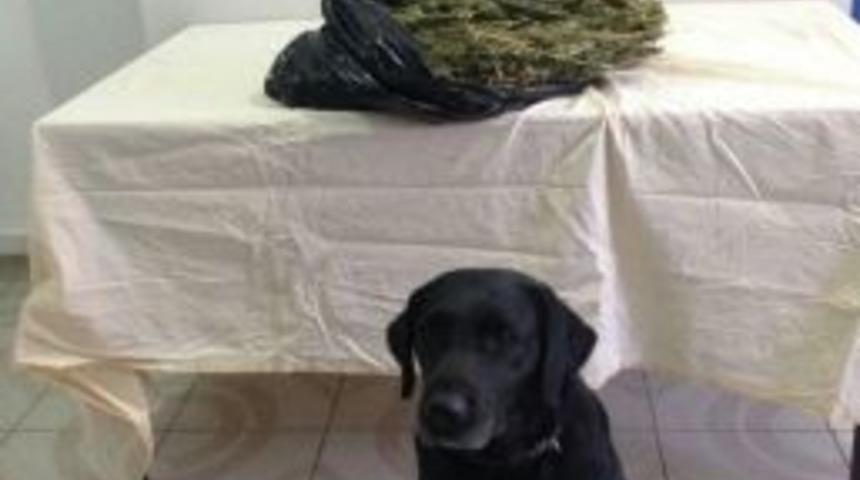 Jandarma&rsquo;dan Uyuşturucu Madde Operasyonu