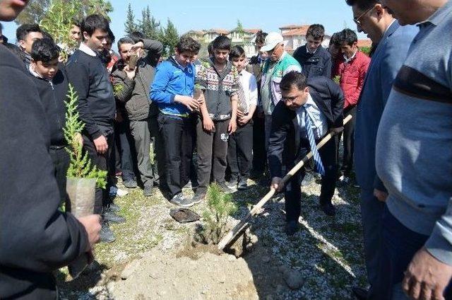 Dalyan’da Ormancılık Haftasında Fidanlar Toprakla Buluştu