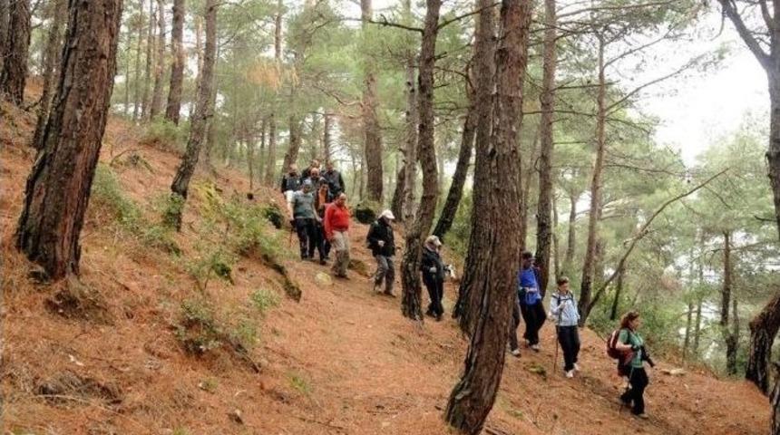 Honaz Dağı&rsquo;nda &Ouml;nce Y&uuml;r&uuml;y&uuml;ş Yaptılar Sonra Muhacir B&ouml;reği Yediler