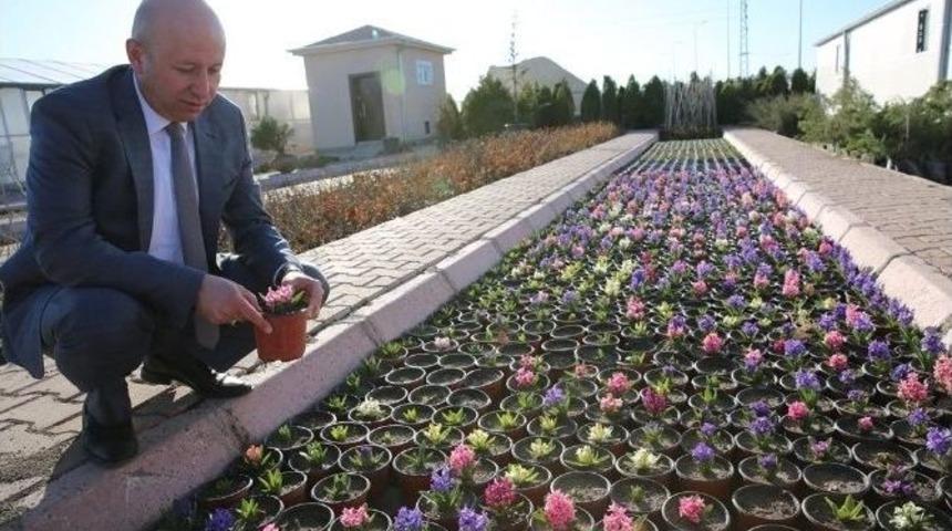 Başkan &Ccedil;olakbayrakdar&rsquo;dan At&ouml;lyelere Teftiş