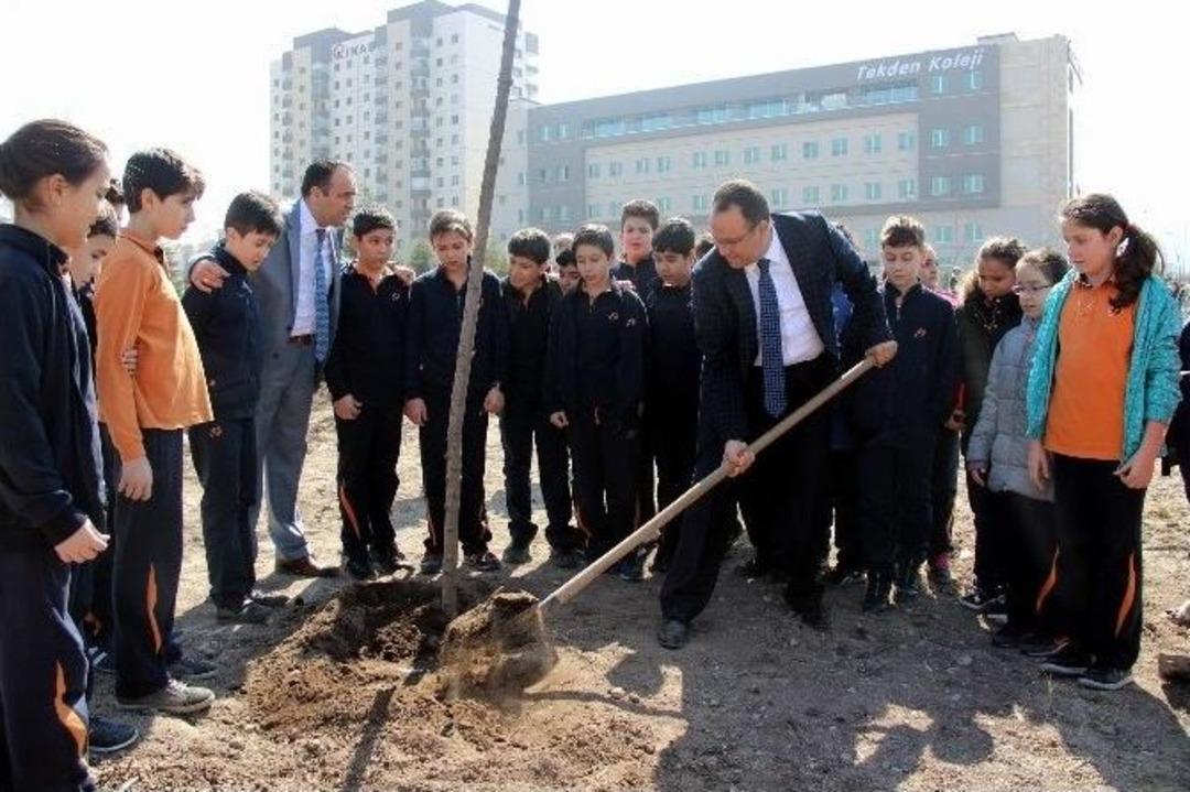 Tekden &Ouml;ğrencileri Fidan Dikti