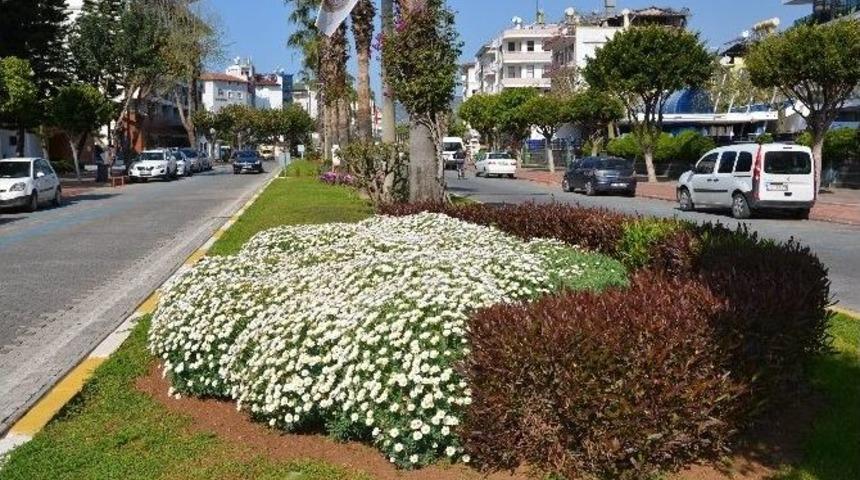 B&uuml;y&uuml;kşehir Alanya&rsquo;da Peyzaj &Ccedil;alışmalarını Tamamladı