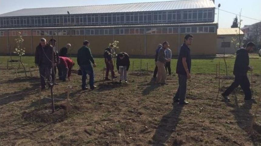 Engeliler Hobi Bah&ccedil;esine S&uuml;s Ve Bah&ccedil;e Bitkileri Ekti