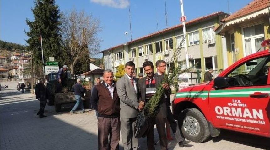 Bucak&rsquo;ta 5 Bin Fidan Dağıtıldı