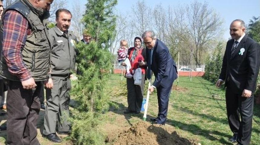 Renkli Orman Haftası Kutlaması