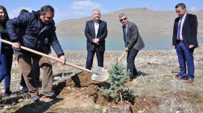 &ldquo;ağa&ccedil; Kardeşliği&rdquo; Projesi Hayata Ge&ccedil;irildi