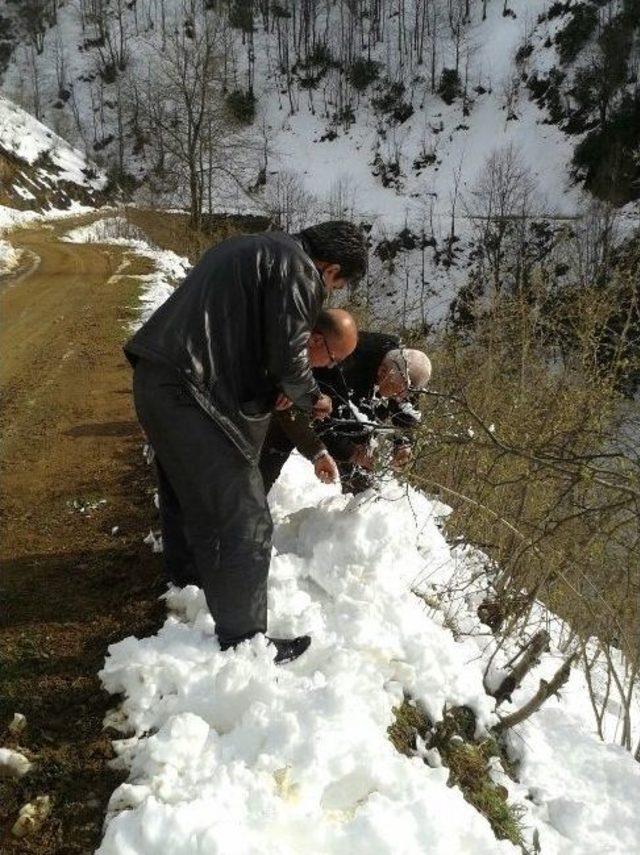 Ordu’da Zirai Don