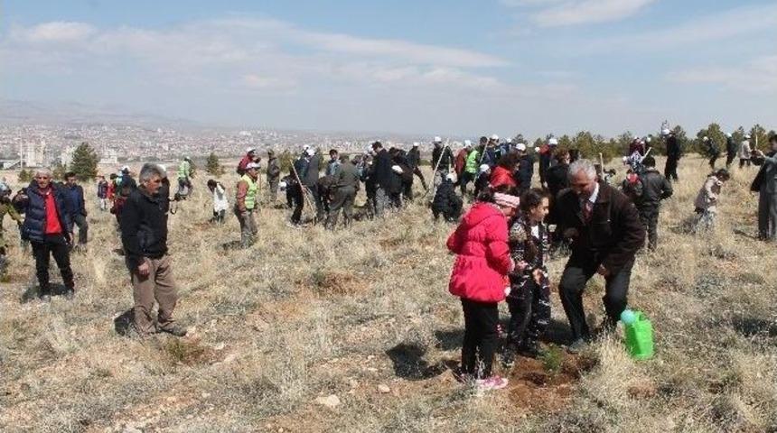 Minik &Ouml;ğrenciler Fidan Dikti