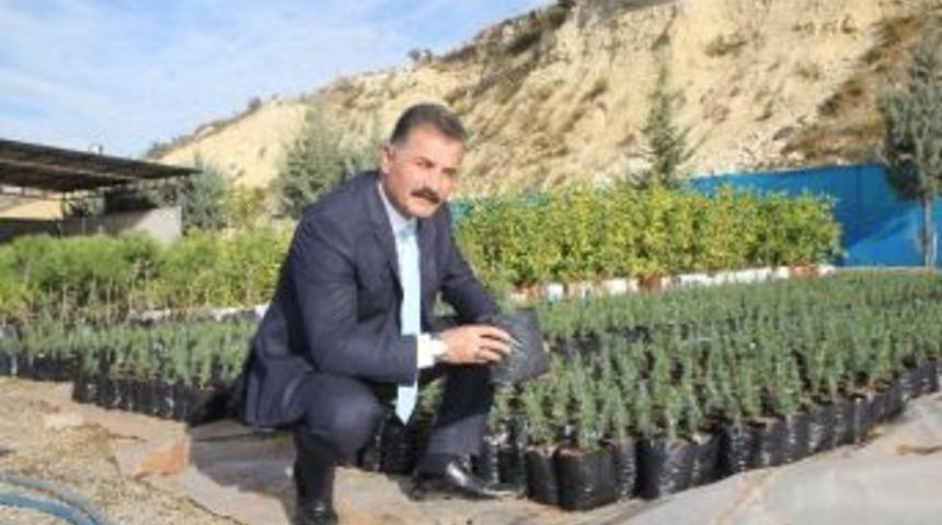 Tuna, Orman Haftası&rsquo;nı Kutladı