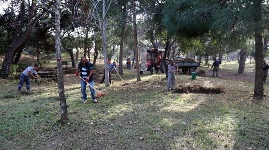 Erdemli &Ccedil;amlığı Yaza Hazırlanıyor