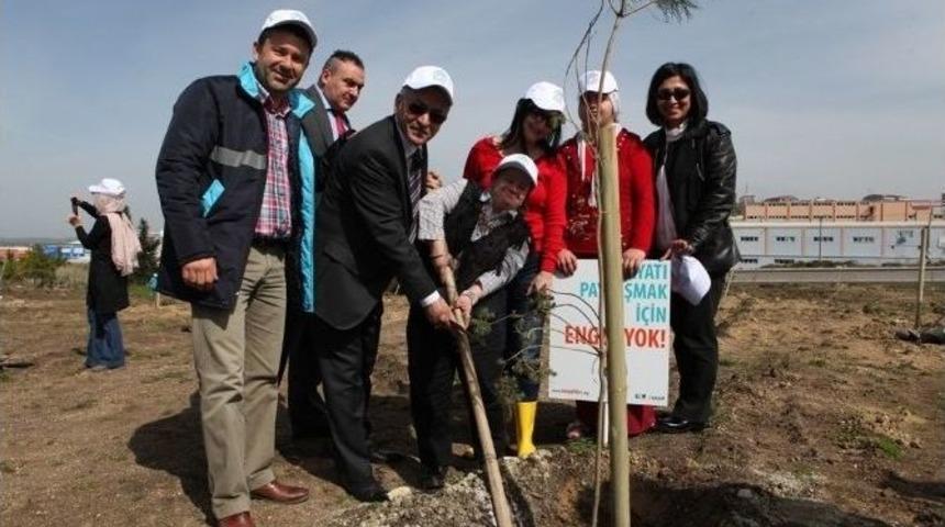 &Ouml;ğrenciler Daha Yeşil Bir &Ccedil;evre İ&ccedil;in Fidan Dikti