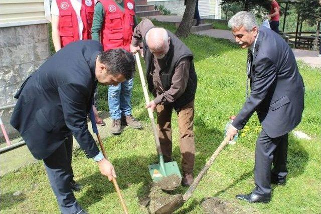 Orman Haftası Nedeni İle Kyk Yurduna Fidan Dikildi