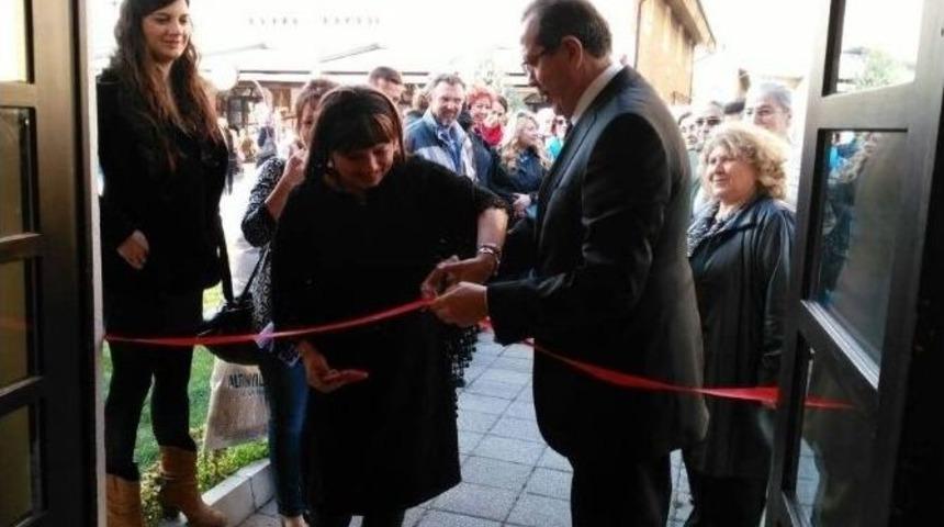 Sanat&ccedil;ı F&uuml;sun Şencan İlk Resim Sergisini A&ccedil;tı