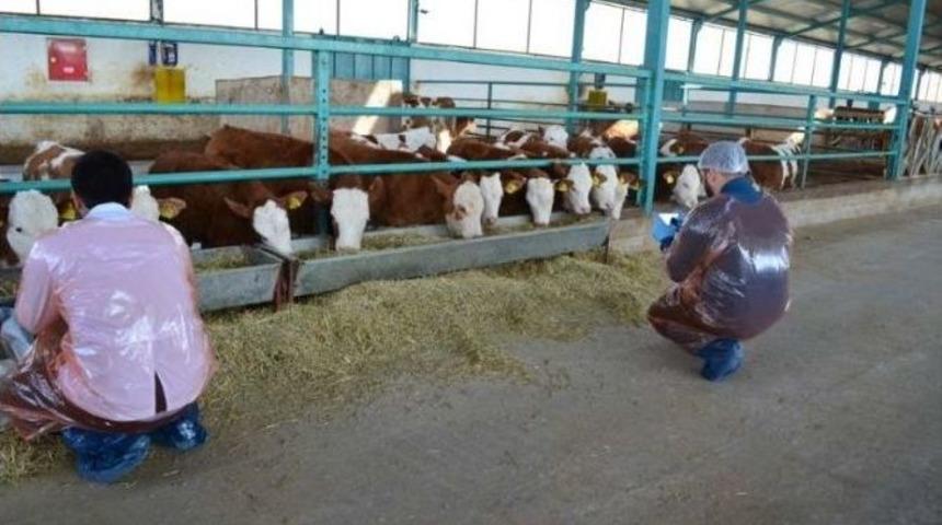 Mak&uuml; Gezici Klinik, Yetiştiricilerin Hizmetinde