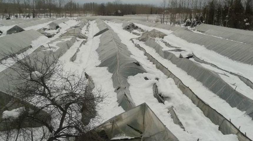 Ağa&ccedil; Yerine &Ccedil;elik Seralar Geliyor