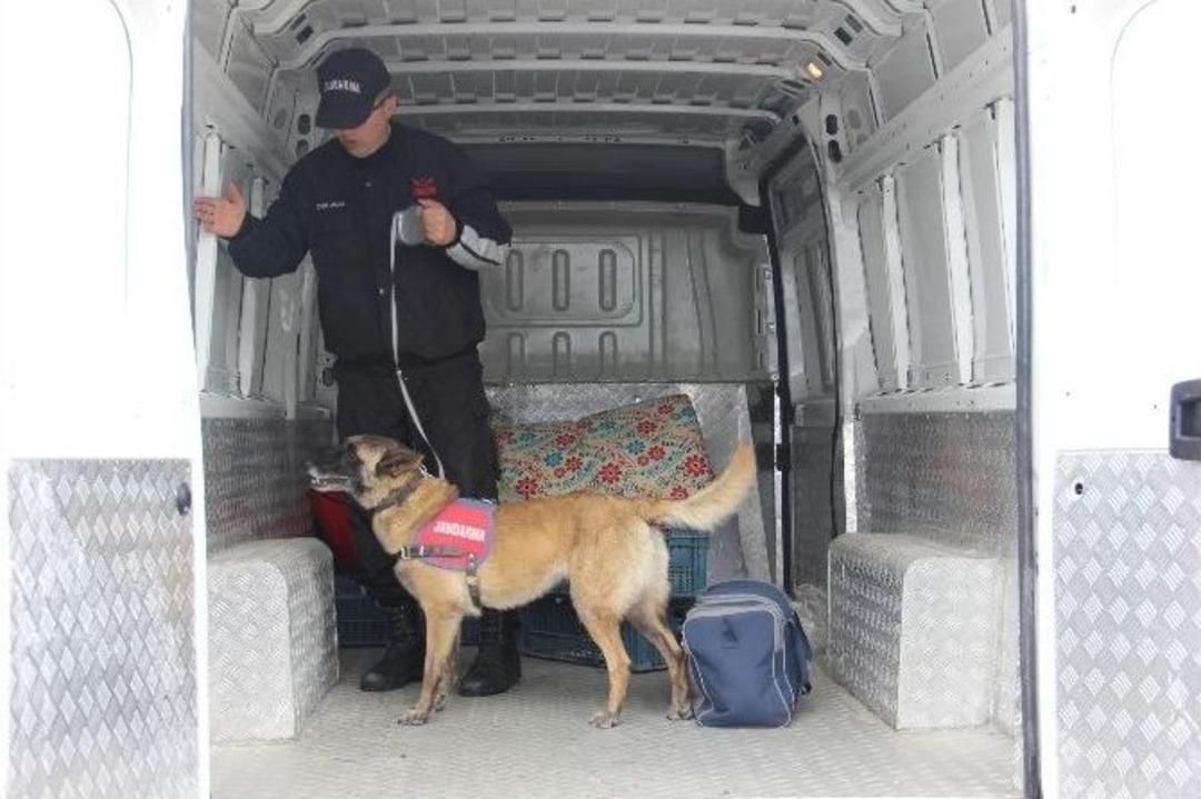 Jandarmadan &rsquo;huzur Ve Asayiş&rsquo; Uygulaması