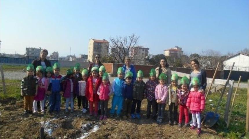 Burhaniye&rsquo;de Minikler Ağa&ccedil; Dikti