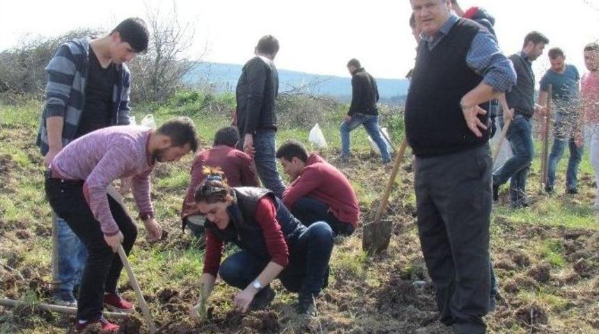 Biga&rsquo;da &Ouml;ğrenciler Fidan Dikti