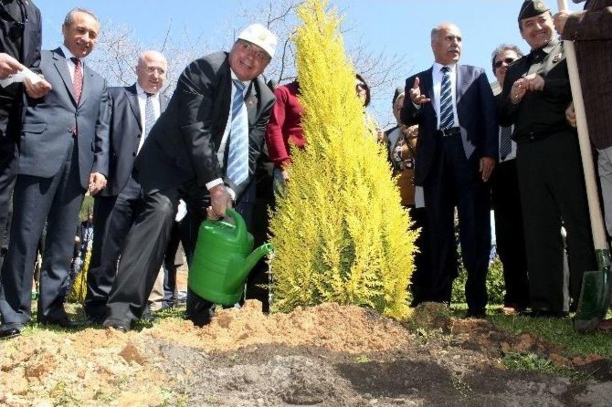 Ormancılık Haftası Kutlandı