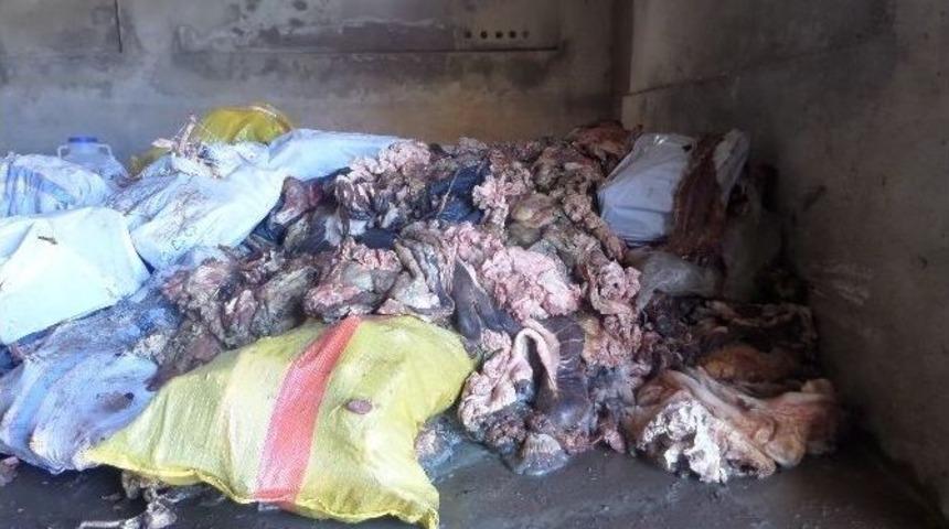 Ordu&rsquo;da Ka&ccedil;ak Et Baskını