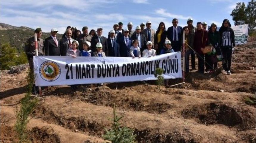 Acıpayam&rsquo;da Fidanlar Toprakla Buluştu