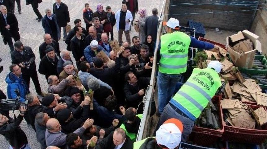 &ldquo;1 Kan 1 Fidan&rdquo; Projesi Kapsamında 3 Bin Fidan Dağıtıldı