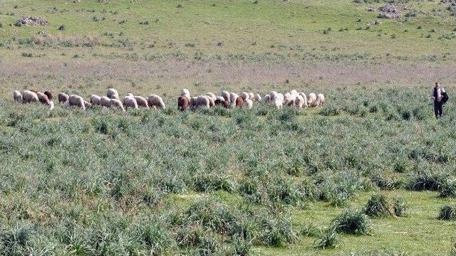 (özel Haber) Bursalı Çiftçilerin Mera İsyanı 1
