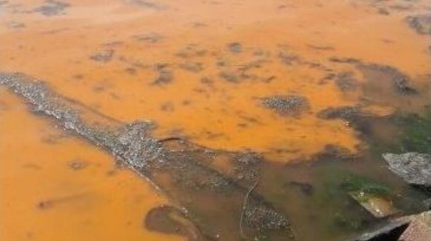 Silivri&rsquo;de Deniz Kızıla B&uuml;r&uuml;nd&uuml;