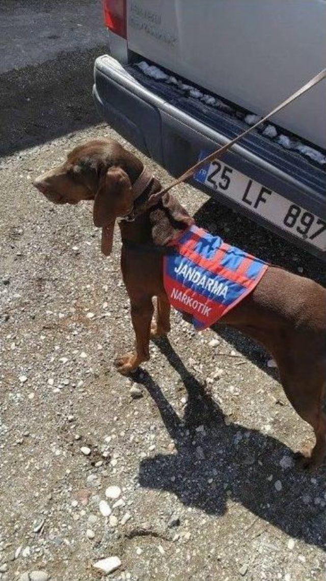 Jandarma&rsquo;dan Ka&ccedil;ak&ccedil;ılara Ge&ccedil;it Yok 2