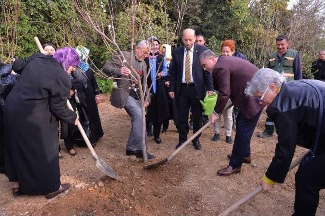 Yaşlılar Ve &Ccedil;ocuklar Fidanları Toprakla Buluşturdu