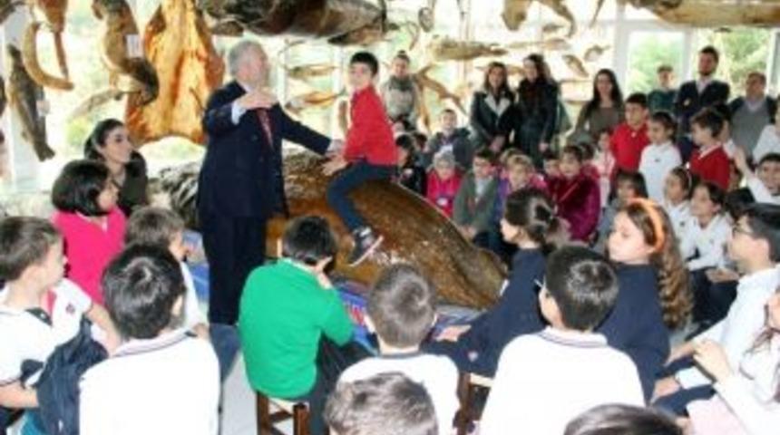 Minikler Deniz Canlıları M&uuml;zesi&rsquo;ni Ziyaret Etti