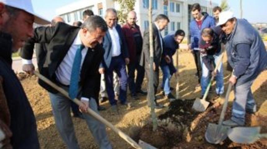Darıca Gen&ccedil;lik Merkezi Ağa&ccedil;landırıldı