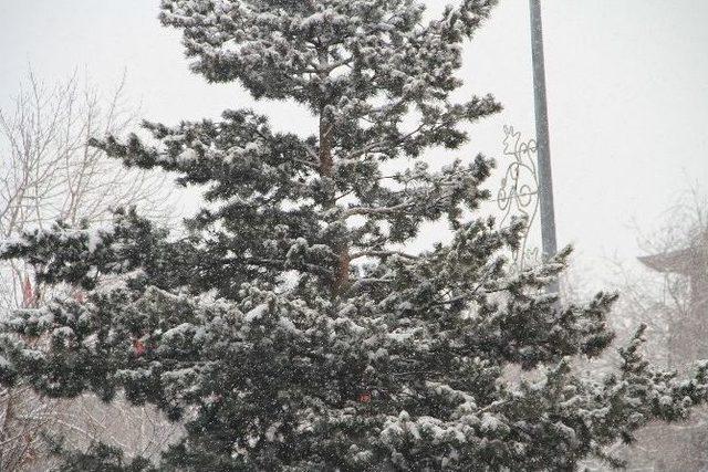 Ardahan’da Kar Yağışı