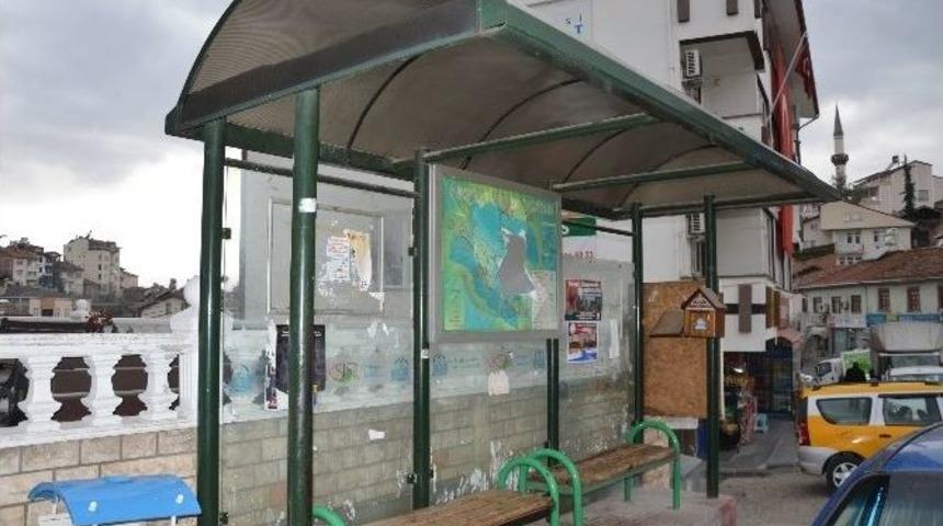 Niksar&rsquo;da Şehir Magandaları İş Başında