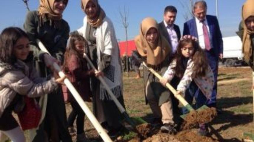 Orman Haftası&rsquo;nda Abla Kardeş Fidan Diktiler