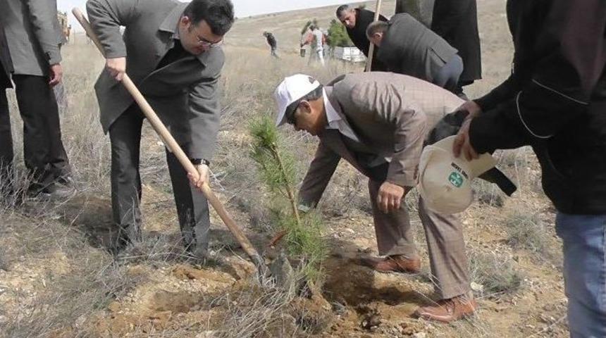 Kulu&rsquo;da 2 Bin 500 Fidan Toprakla Buluşturuldu