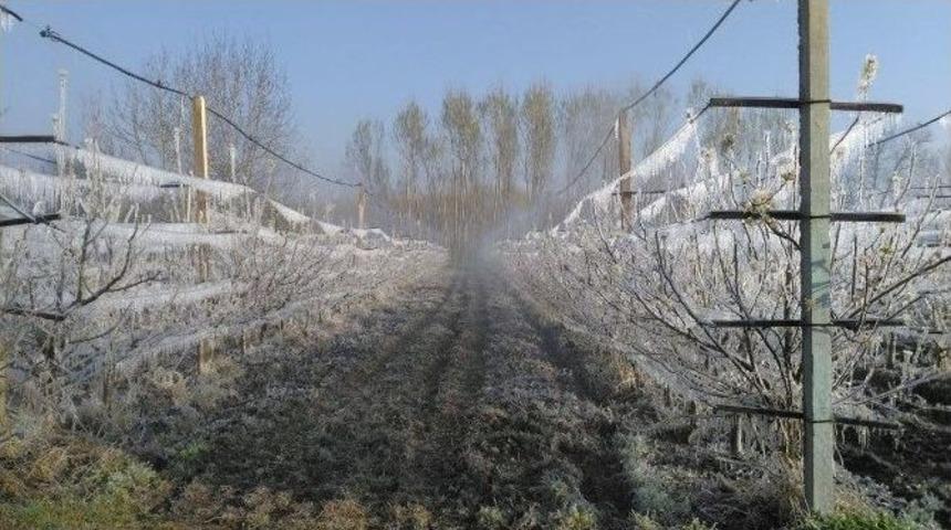 Kırağı Meyve Bah&ccedil;elerini Vurdu