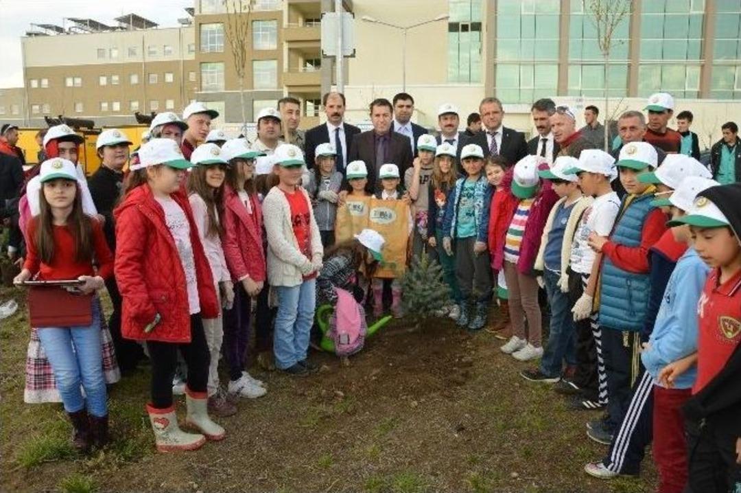 Niksar Devlet Hastanesi &Ccedil;evresi Ağa&ccedil;landırıldı