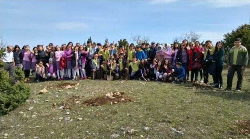 Boz&uuml;y&uuml;k Saffet Şeker Ortaokul &Ouml;ğrencileri 500 Fidan Dikti