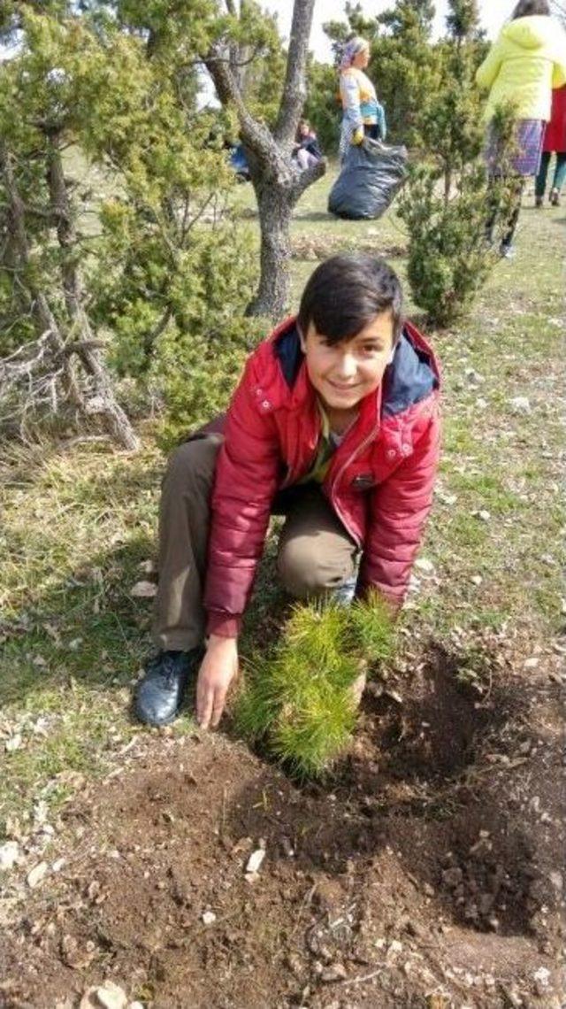 Bozüyük Saffet Şeker Ortaokul Öğrencileri 500 Fidan Dikti