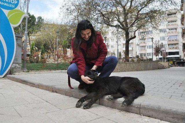 Egeli Sanatçı, Klibinde Ailesini Oynattı