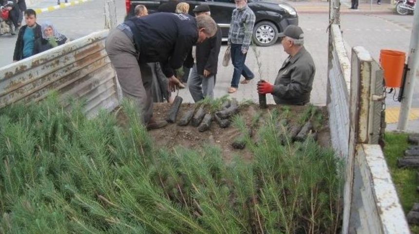 Bayrami&ccedil;&rsquo;te 10 Bin Fidan Dağıtıldı