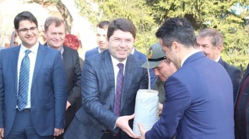 Tunç, Ormancılık Günü Programında Fidan Dağıttı