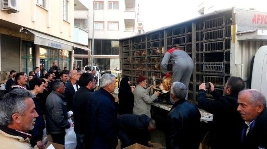 Giresunlu Çiftçilere 500 Adet Tavuk Dağıtıldı