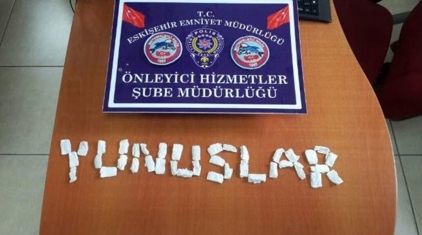 Metruk Binanın Duvarı Bonzai Zulası &Ccedil;ıktı