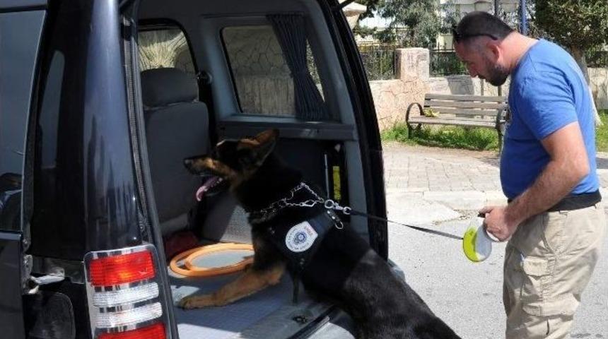 Antalya&rsquo;da Bomba Aramaları &rsquo;google&rsquo;den Soruluyor