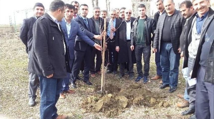 &Ccedil;ift&ccedil;ilere Meyvecilik Eğitimi