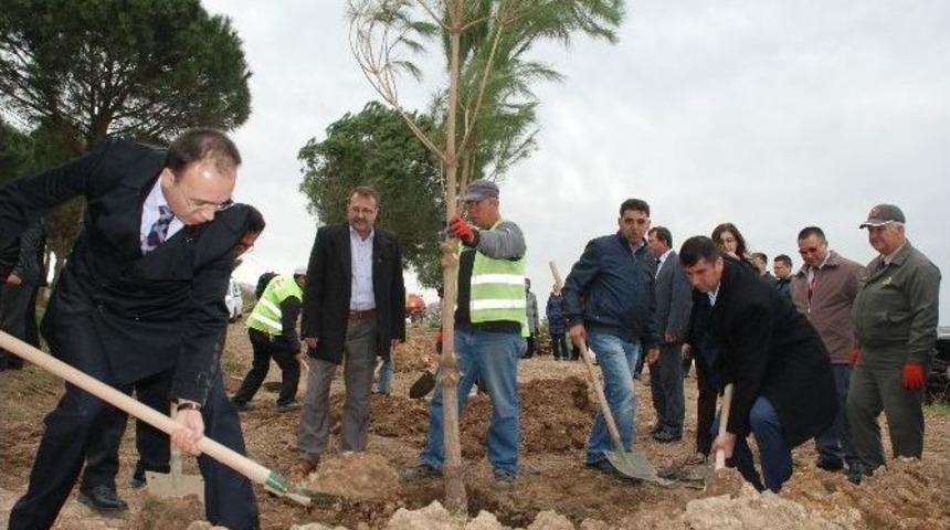 Mehmet Akif Ersoy Hatıra Ormanı Oluşturuldu